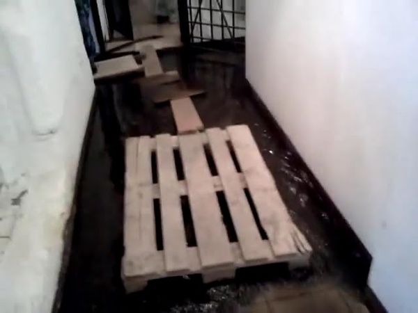 Skibidi toilet origins