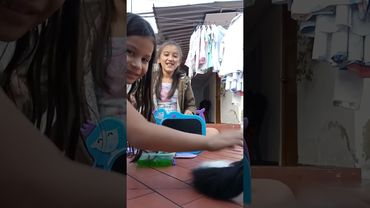 Día de picnic con los ilumimochis parte 2