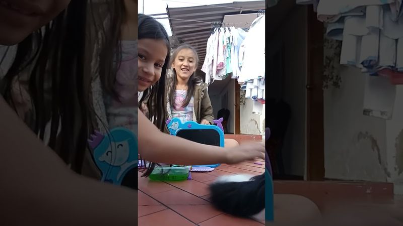 Día de picnic con los ilumimochis parte 2