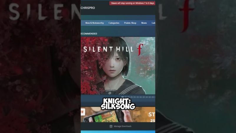 Энтузиаст запустил Hollow Knight Silksong на Windows 7, обойдя steam