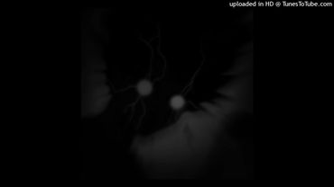 The automotivo infernal 1.0 - Purple (Slowed)