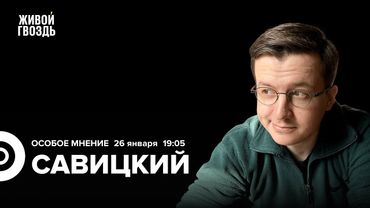 Российские демократические силы в ПАСЕ. ИИ угрожает детям. Вадим Савицкий: Особое мнение