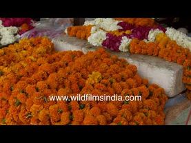 Old woman selling flowers and garland of marigolds and roses flowers out side of a temple