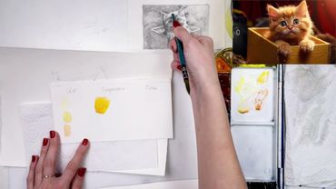 котенок акварель 1 этап