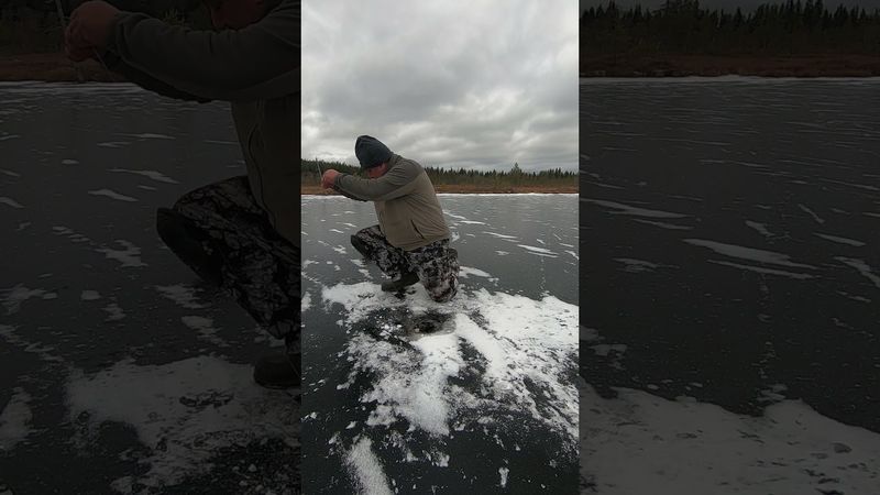 Небольшая щучка  #рыбалка #youtubeshorts