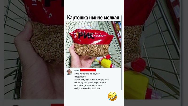 Рис ето ?🤣😂#прикол
