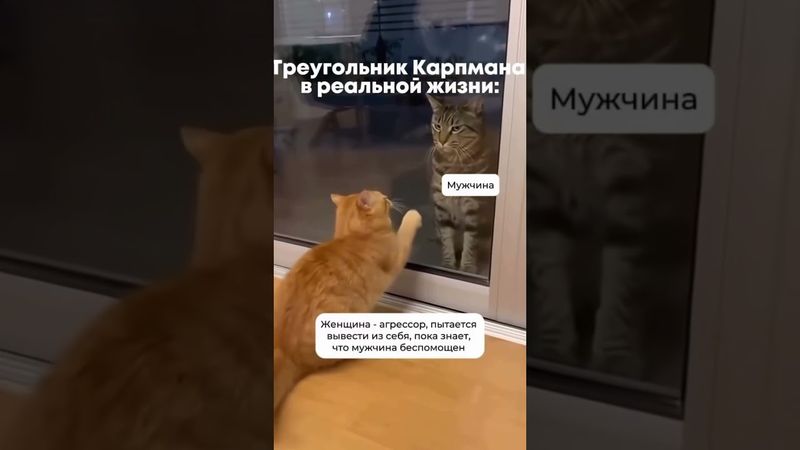 Не только у людей так