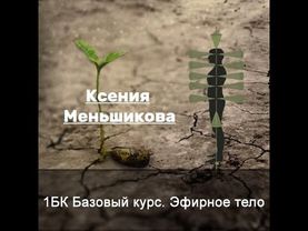 1 Базовый курс. Эфирное тело. Меньшикова К.Е. День 1-4. 2021