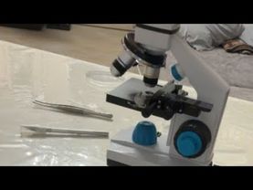 Бью током Глистов под микроскопом