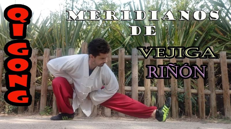 Qi Gong ☯️ CHI KUNG para la SALUD de Estiramiento de los MERIDIANOS, Jing Luo Qi Gong IV