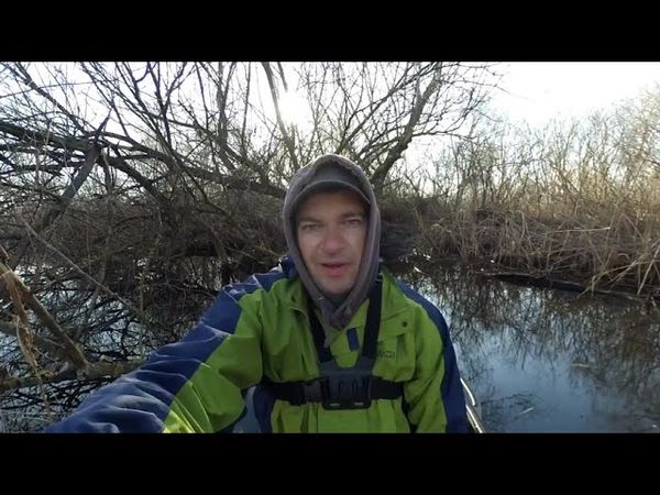 Густера и Карась на поплавок в корягах