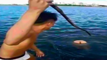 try not to laugh videos impossible