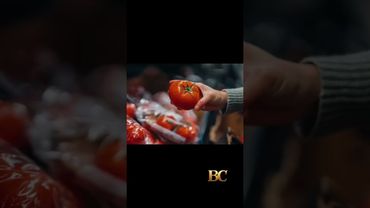 FDA issues highest alert for tomato recall due to salmonella risk