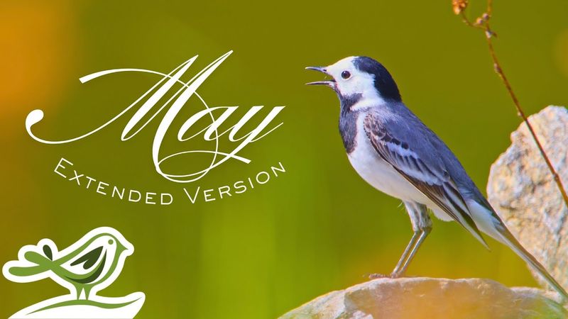 Peder B. Helland - May (Extended Version)