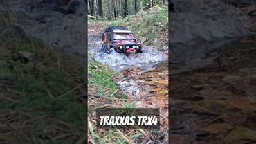 RC Traxxas trx4 DEFENDER scale 1/10