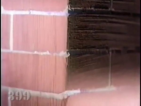 Программа передач.(Останкино.май 1993г.)