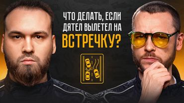 Что делать, если дятел вылетел на встречу? | Разборы от КМС по автоспорту