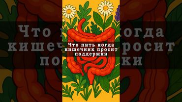 Травы для кишечника. При вздутие живота и газах. При воспалении слизистой, колитах. При диарее.