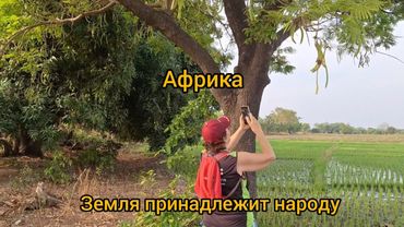 # 107 Бедные, но не голодные.Чему учит Африка?