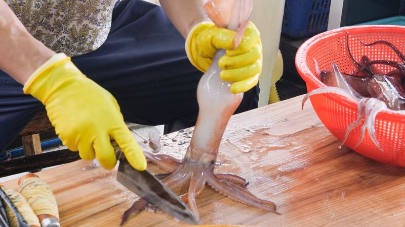 크기부터 다르네요! 싱싱한 활오징어 부터 10kg 대방어 까지 전설의 남창 칼잡이 몰아보기(밀치,도다리, 광어, 전어,대물장어, 농어, 우럭)Korean Sashimi Master