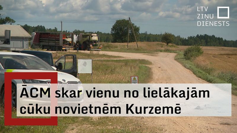 Talsu novadā, kur konstatēta saslimšana ar ĀCM, likvidēs visas cūkas
