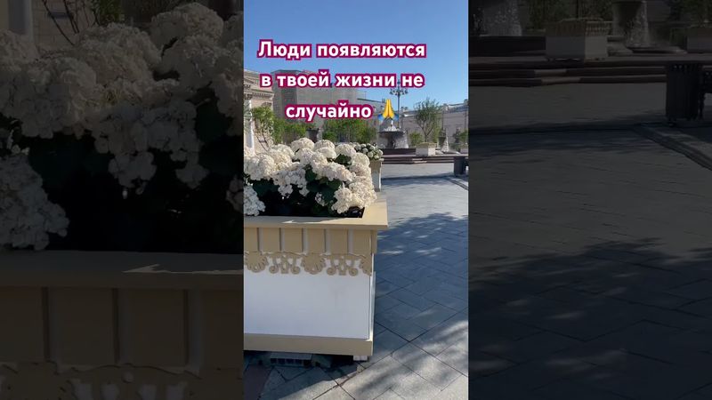 #motivstars #мудрыеслова #саморазвитие #любовь #possitivevibes #possitivity #posivibes #позитив