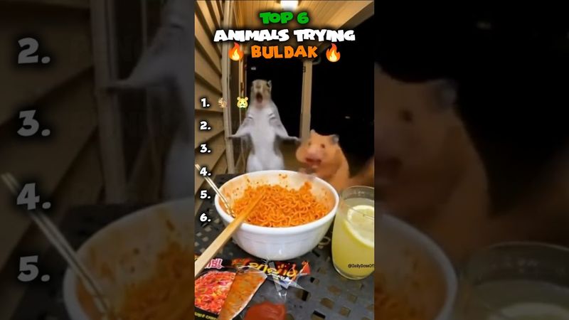 Top 6 Sora AI Animals Trying the Spiciest Buldak Noodles (Part 3) 🔥 #reels #viral #sora2 #sora #fyp