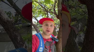 ДОМИК НА ДЕРЕВЕ (смешное видео, поржать, приколы, юмор, прикол)