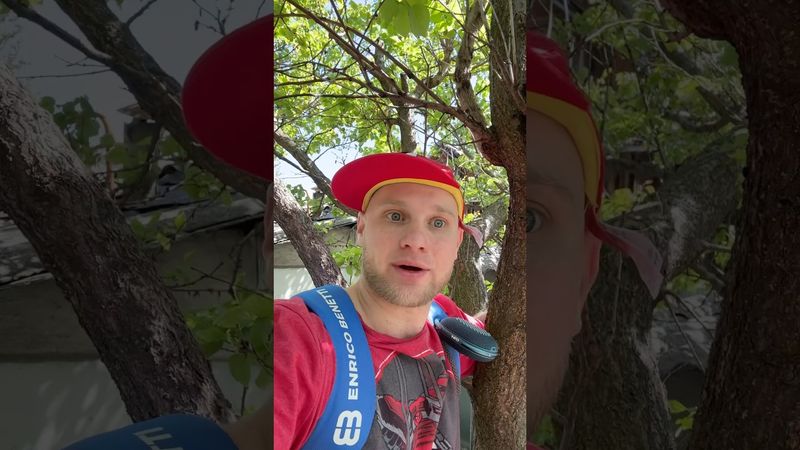 ДОМИК НА ДЕРЕВЕ (смешное видео, поржать, приколы, юмор, прикол)