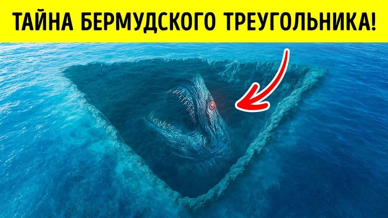 Самая большая тайна Бермудского треугольника раскрыта: обнаружены гигантские морские существа