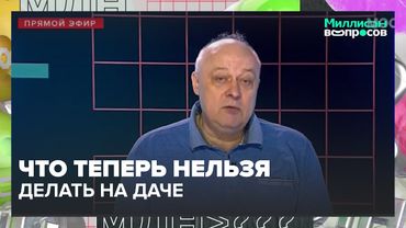 Штраф за дачный костёр, петуха и куры: что теперь нельзя делать на участке