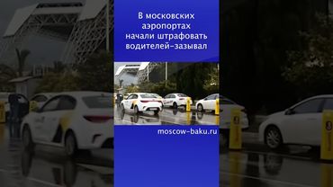 В московских аэропортах начали штрафовать водителей-зазывал