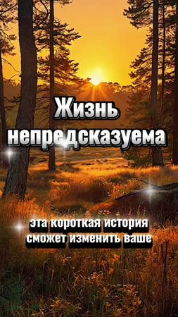 #мудрость #жизнь #цитаты #правилажизни #цитаты 