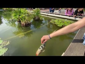 Парк в Дортмунде, Северный Рейн-Вестфалия | Германия 2023