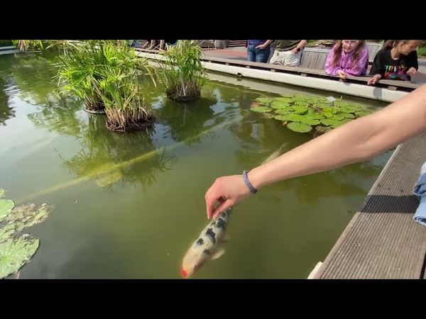 Парк в Дортмунде, Северный Рейн-Вестфалия | Германия 2023