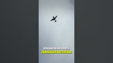 На западе Канады в округе Оканаган началась эвакуация населения из-за лесных пожаров