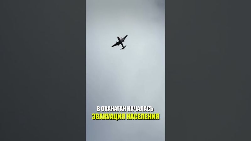На западе Канады в округе Оканаган началась эвакуация населения из-за лесных пожаров