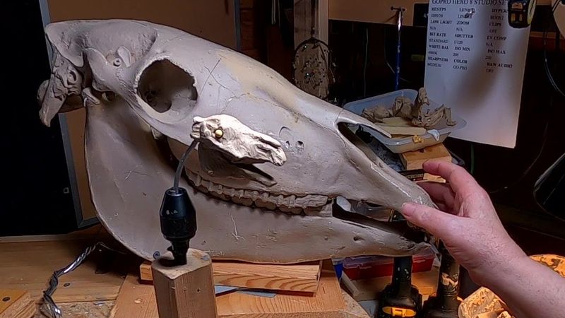 A BURR ON THE SADDLE BLANKET   Redoing the Horses Head