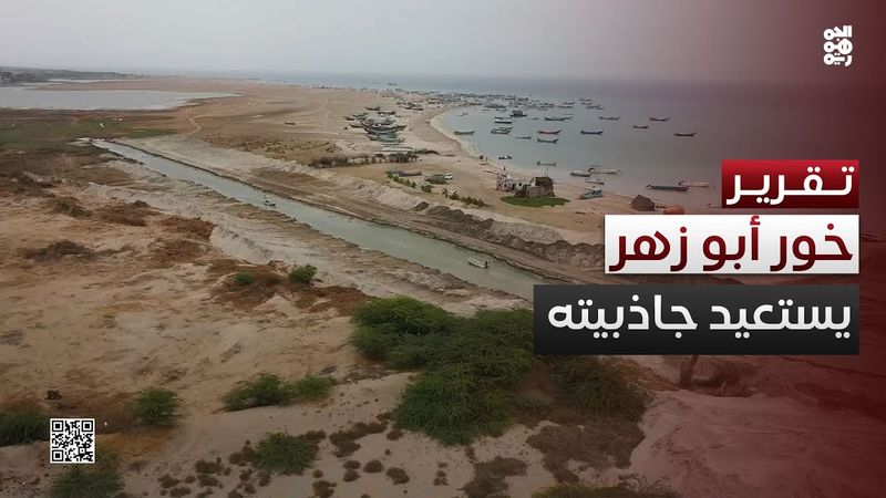 عودة النوارس والزوار.. خور أبو زهر يستعيد جاذبيته بعد التأهيل