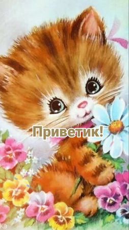 #приветик 🎨