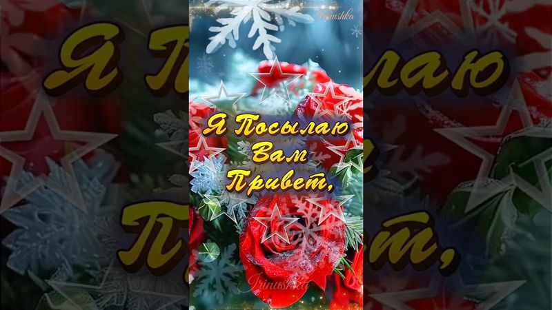 Bom dia! Tenha um ótimo dia! #bomdia #olá #vídeocurto