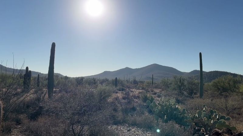 No talking, just walking in the Sonoran desert on a December morning: Crunchy walking ASMR