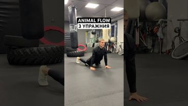3 упражнения из animal flow на каждый день 🔥