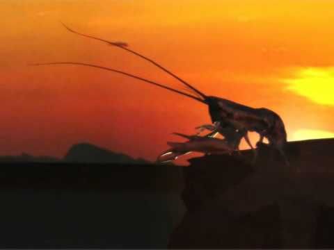 Когда рак на горе свистнет