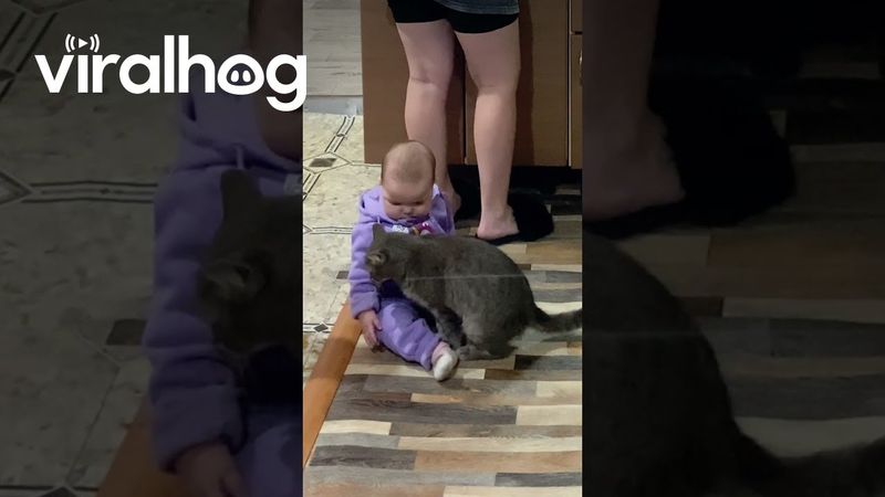Cat Calms Down a Baby || ViralHog