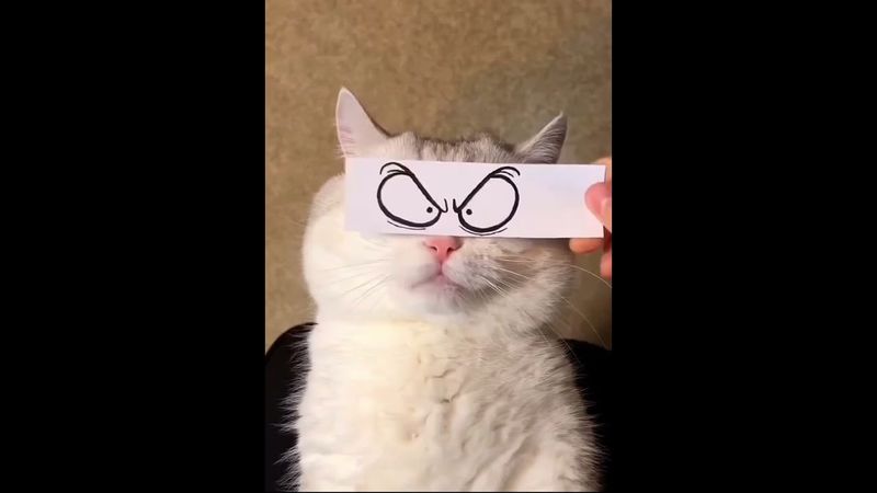 Настроение Бывает Разное 🤣🤝👍