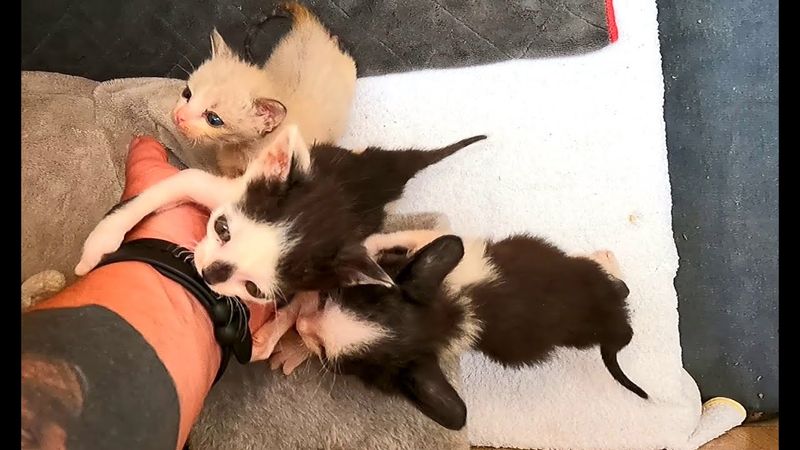 #Славянск. 20 июля 2025г. Утро.