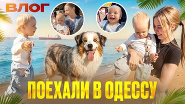 Я в 18 ЛЕТ САМА СПРАВЛЯЮСЬ с СЫНОМ и СОБАКАМИ, НАШЕ ТРЕШ ПУТЕШЕСТВИЕ!!!