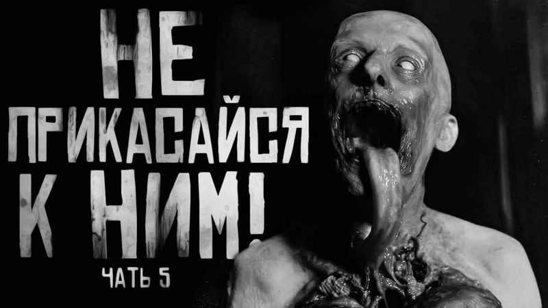 НЕ ПРИКАСАЙСЯ К НИМ! Часть 5. Страшные истории на ночь. Страшилки на ночь.
