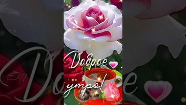 🌺•С ДОБРЫМ УТРОМ•Счастья в сегодняшнем дне•#shorts